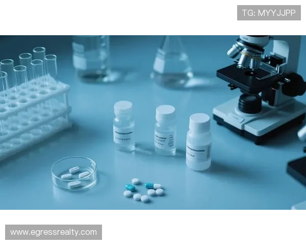 k8凯发国际官方丰富游戏类型满足不同玩家的多样化需求